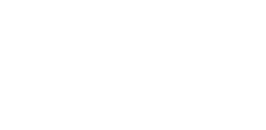Richard Orlinski